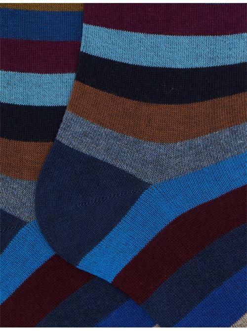 AP10311830822 FANTASIA gallo | AP10311830822 FANTASIA